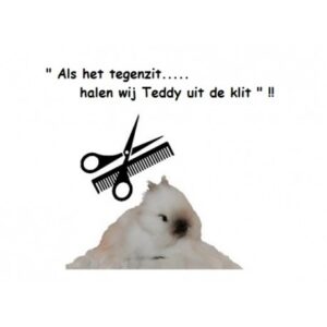 RABBIT Trim Service
