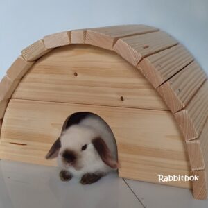 Rabbit Konijnenhuis