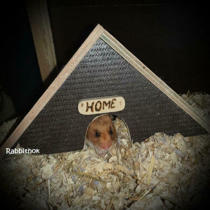 Hamster huisje betonplex