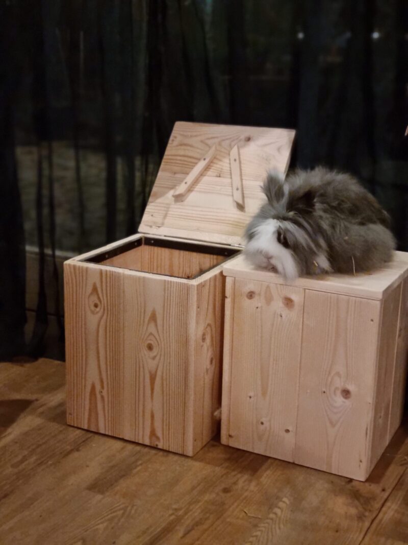 Rabbit opbergkruk