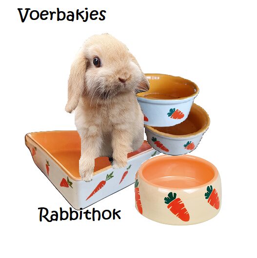Rabbit voerbakje wortel