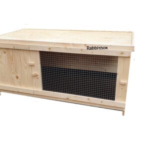 Rabbit Vlaamse Reuzenhok binnen