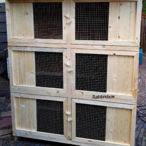 Rabbit Flat Fransie