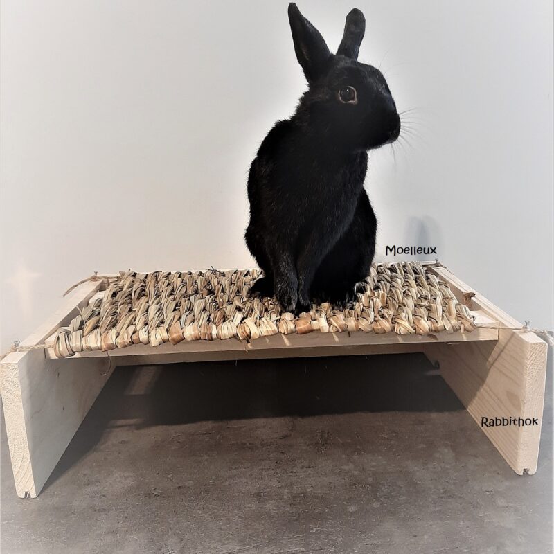 Rabbit hangmat