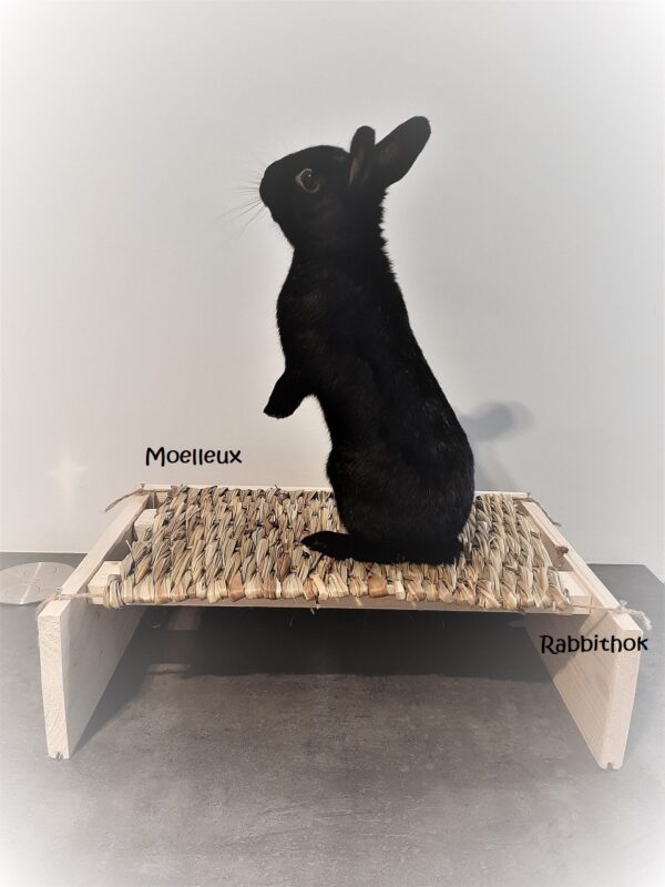 Rabbit hangmat - Afbeelding 3