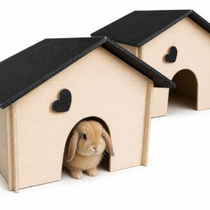 Rabbit house 2