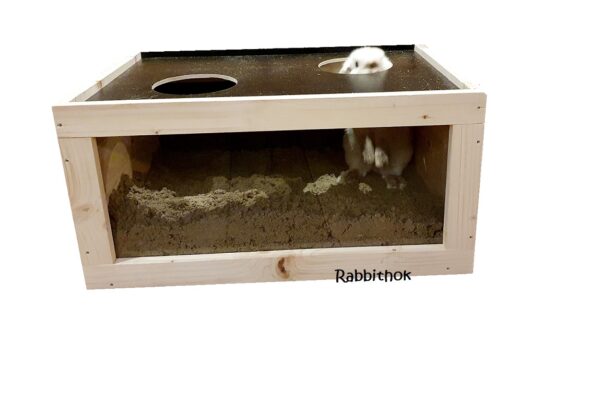 Rabbit Zandbak  "Indoor"