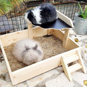Zandbakken en reisboxen