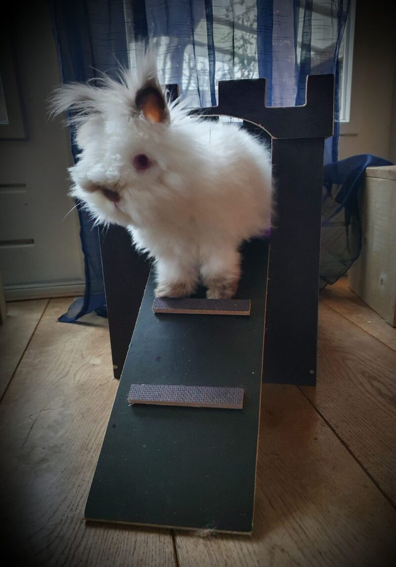 Rabbit Kasteel enkel Betonplex - Afbeelding 2