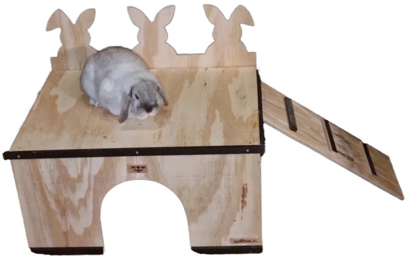 Konijnen Chillhuis XL - Afbeelding 2